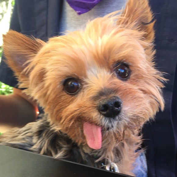 Meet your Posher, Paul - Picture 1 of 1